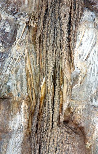 Leopard Skull Cave calcite ribs4[JVolk]